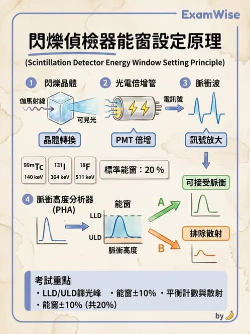 放射 - 非影像閃爍偵測器 - AI 圖文解析預覽