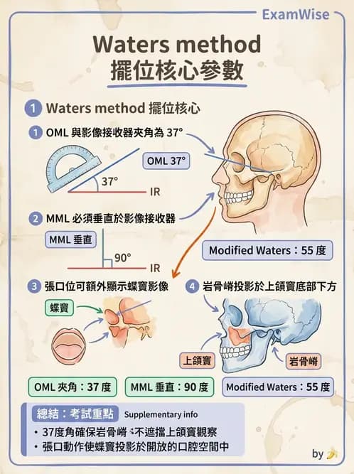 放射 - 頭頸脊椎攝影技術 - AI 圖文解析預覽