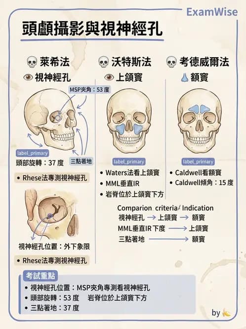 放射 - 頭頸脊椎攝影技術 - AI 圖文解析預覽