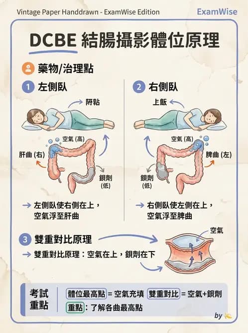 放射 - 消化道造影 - AI 圖文解析預覽