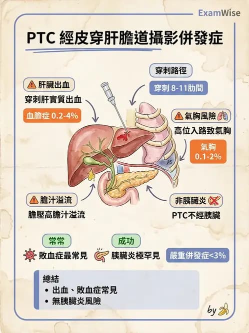 放射 - 導管技術與介入性治療 - AI 圖文解析預覽