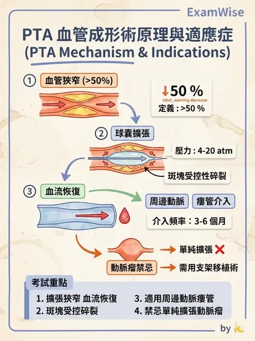 放射 - 導管技術與介入性治療 - AI 圖文解析預覽