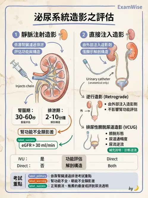 放射 - 泌尿生殖攝影 - AI 圖文解析預覽