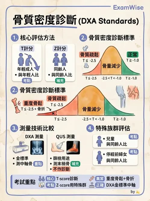 放射 - 乳房攝影與其他特殊檢查 - AI 圖文解析預覽