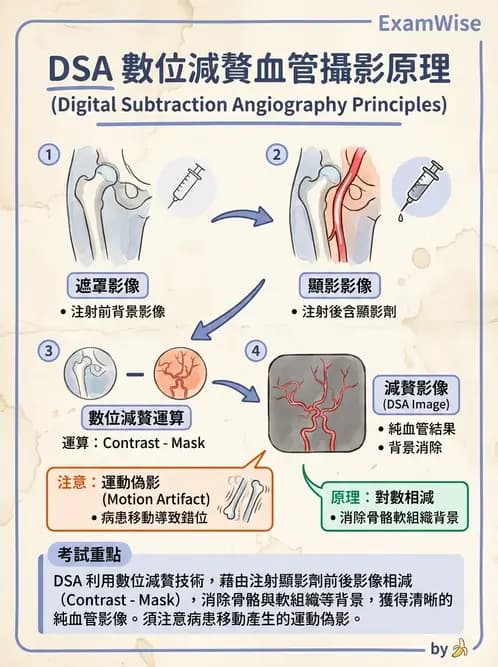 放射 - 血管攝影原理與解剖 - AI 圖文解析預覽