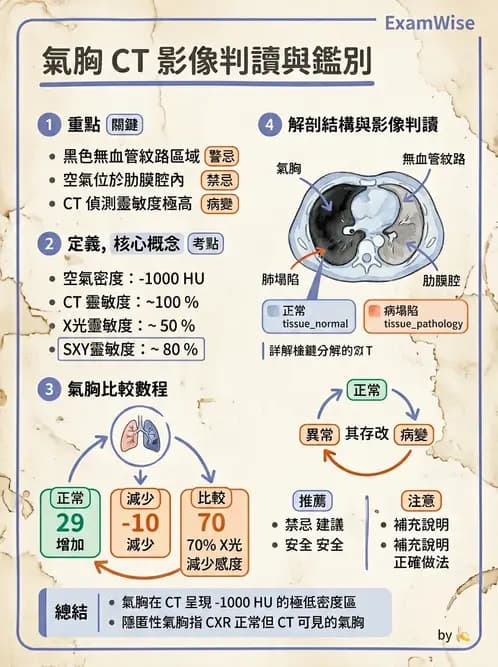 放射 - 胸腹部CT診斷 - AI 圖文解析預覽
