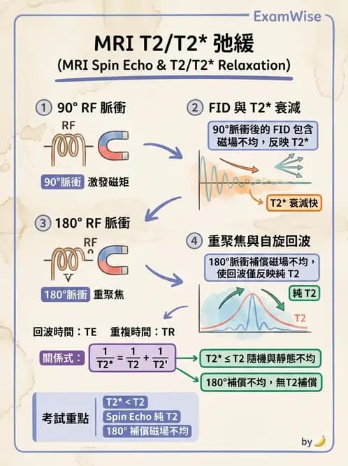 放射 - MRI脈衝序列與訊號技術 - AI 圖文解析預覽