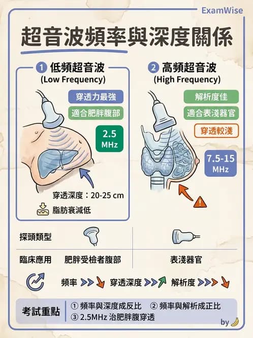 放射 - 超音波物理與技術 - AI 圖文解析預覽