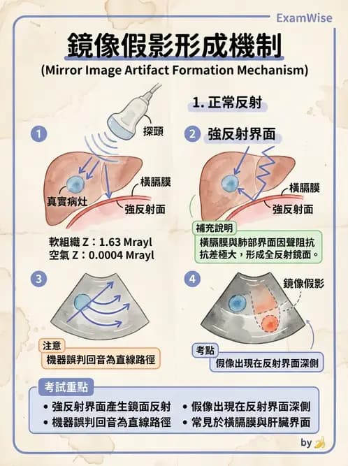 放射 - 超音波物理與技術 - AI 圖文解析預覽