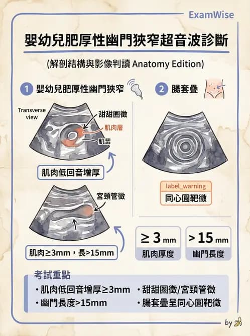 放射 - 膽胰脾超音波 - AI 圖文解析預覽