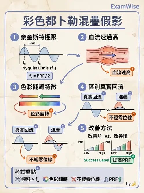 放射 - 腎臟血管與其他超音波 - AI 圖文解析預覽
