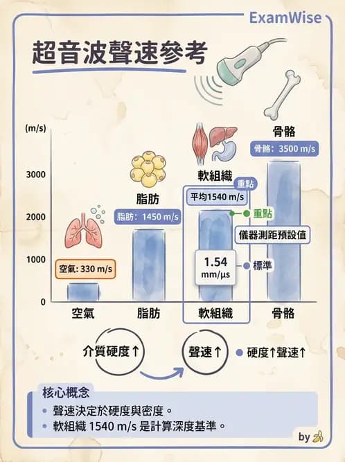 放射 - 超音波物理與技術 - AI 圖文解析預覽