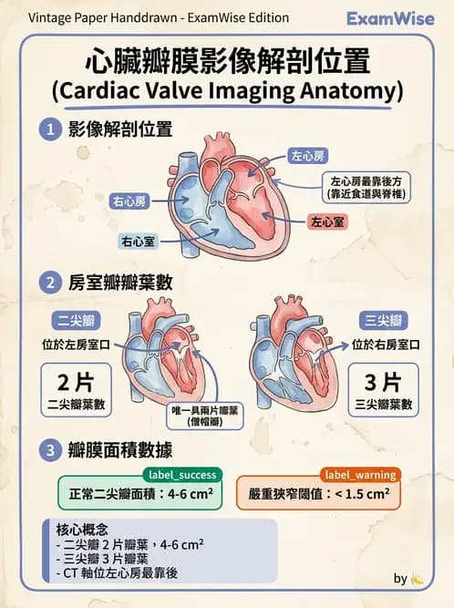 放射 - CTA與CT影像技術應用 - AI 圖文解析預覽