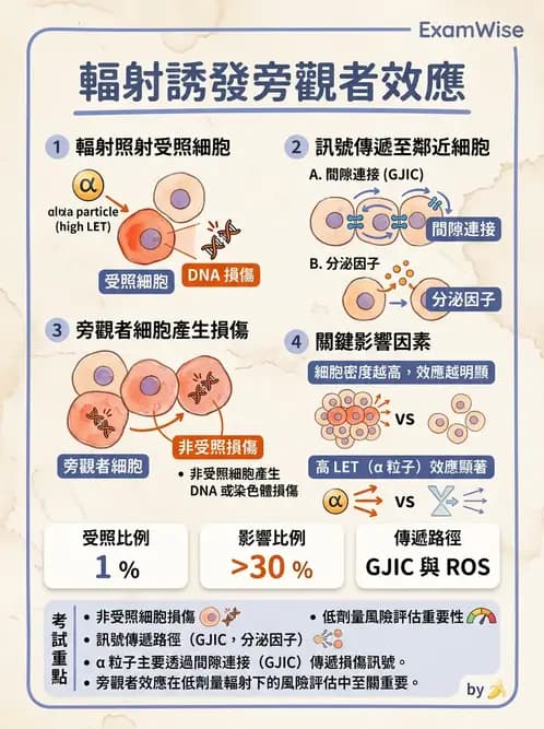放射 - DNA傷害與修復 - AI 圖文解析預覽