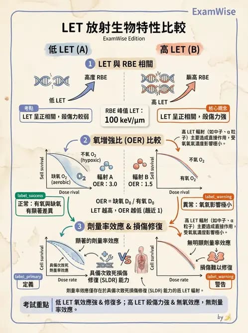 放射 - LET、RBE、OER與復氧效應 - AI 圖文解析預覽