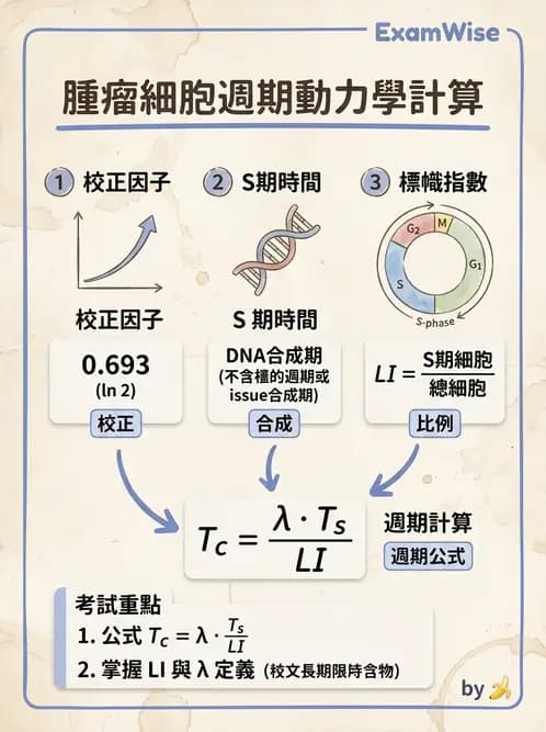 放射 - 細胞與腫瘤動力學 - AI 圖文解析預覽
