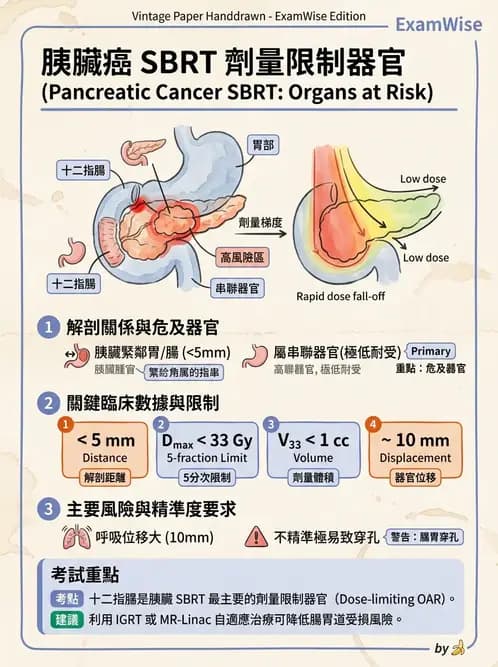 放射 - 立體定位軀體放射治療(SBRT) - AI 圖文解析預覽