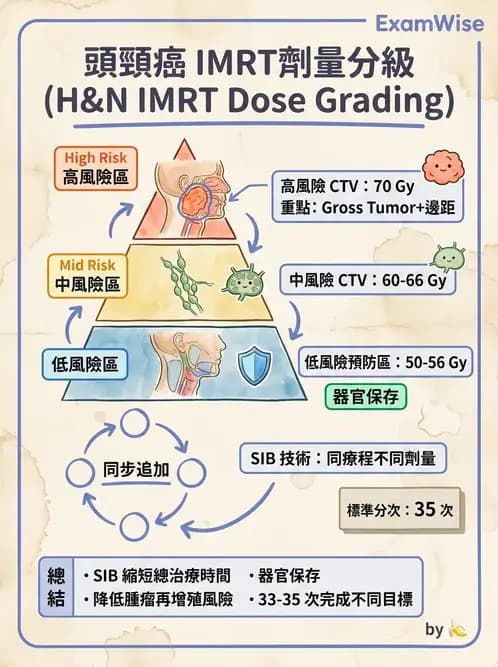 放射 - 疾病部位計畫與危急器官保護 - AI 圖文解析預覽