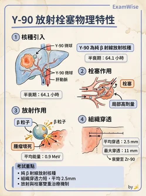 放射 - 血管內近接治療 - AI 圖文解析預覽