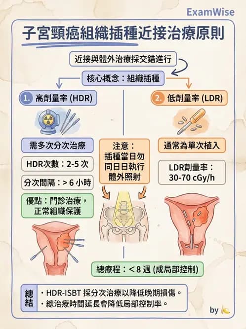 放射 - 插種近接治療 - AI 圖文解析預覽