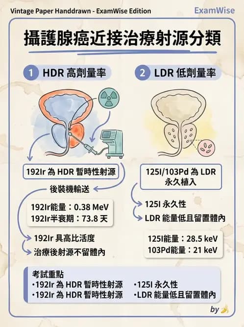 放射 - 插種近接治療 - AI 圖文解析預覽