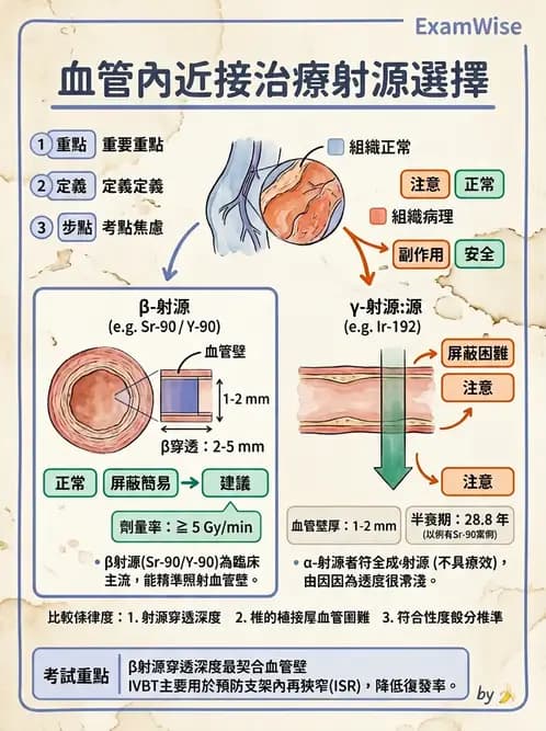 放射 - 血管內近接治療 - AI 圖文解析預覽