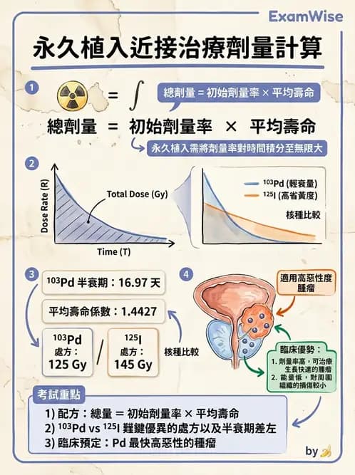 放射 - 近接治療射源物理與劑量計算 - AI 圖文解析預覽