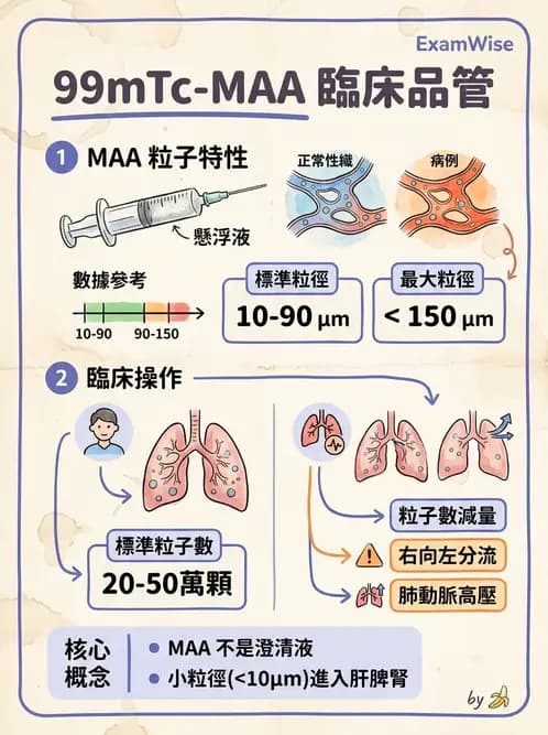 放射 - 肺肝膽與製劑通則 - AI 圖文解析預覽