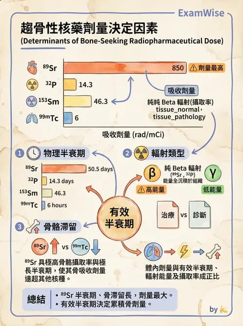 放射 - 體內吸收劑量 - AI 圖文解析預覽