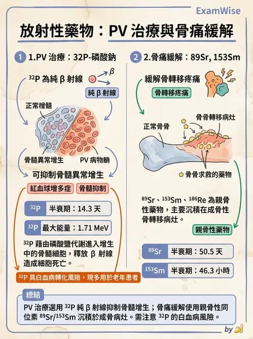 放射 - 非腫瘤治療 - AI 圖文解析預覽
