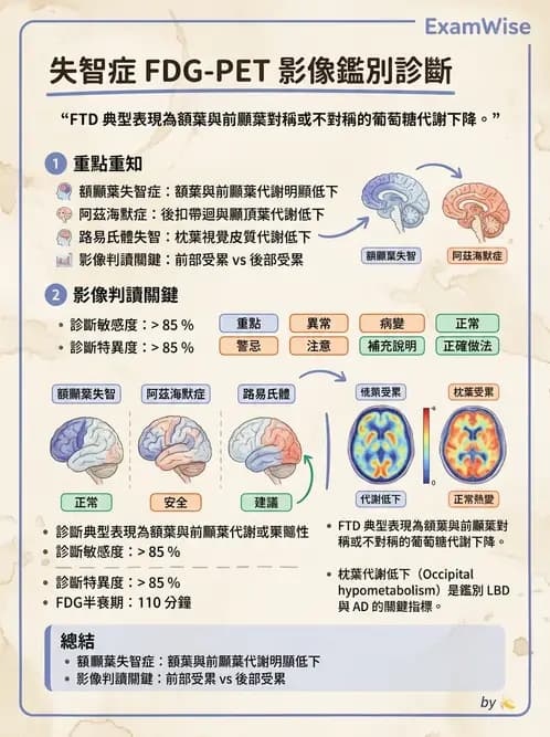 放射 - FDG PET造影 - AI 圖文解析預覽