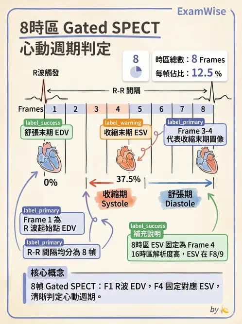 放射 - 心室功能造影 - AI 圖文解析預覽