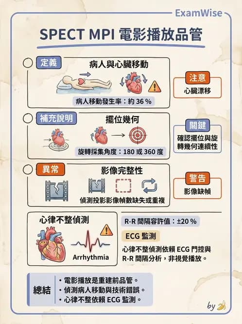 放射 - 心臟灌注造影 - AI 圖文解析預覽