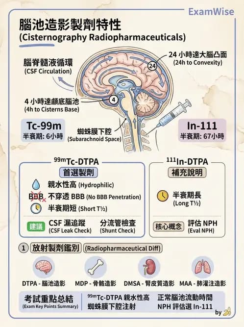 放射 - 腦部造影 - AI 圖文解析預覽