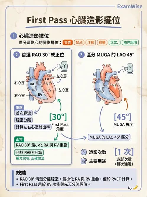 放射 - 心室功能造影 - AI 圖文解析預覽