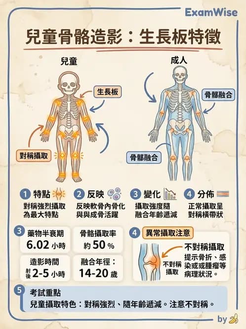 放射 - 骨骼造影 - AI 圖文解析預覽