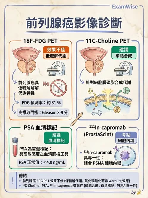 放射 - FDG PET造影 - AI 圖文解析預覽