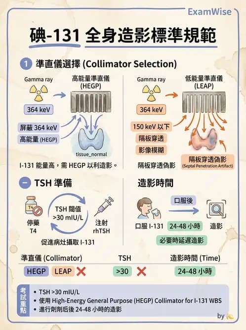 放射 - 甲狀腺造影 - AI 圖文解析預覽