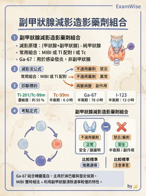 放射 - 副甲狀腺與前哨淋巴結造影 - AI 圖文解析預覽
