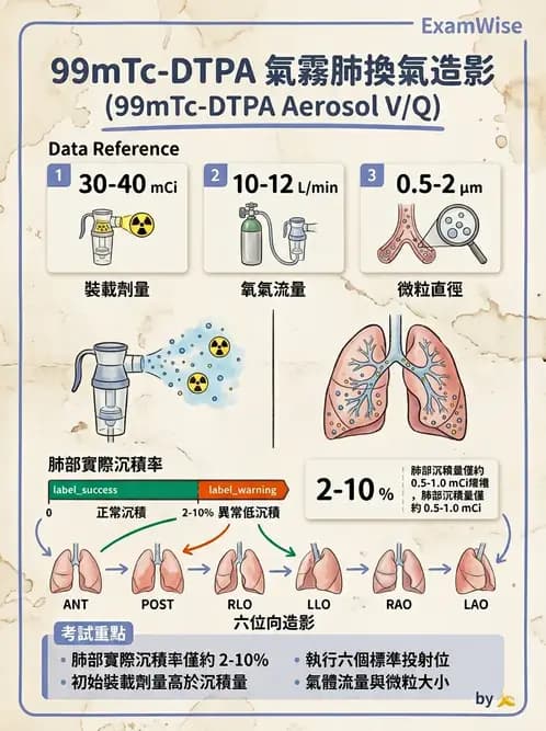 放射 - 肺部與感染造影 - AI 圖文解析預覽