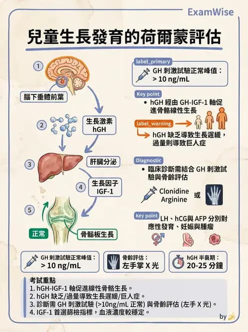 放射 - 免疫分析品管與臨床應用 - AI 圖文解析預覽