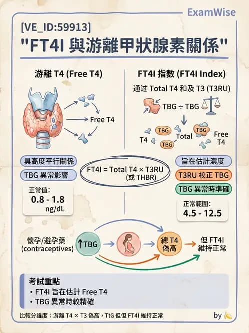 放射 - 免疫分析品管與臨床應用 - AI 圖文解析預覽