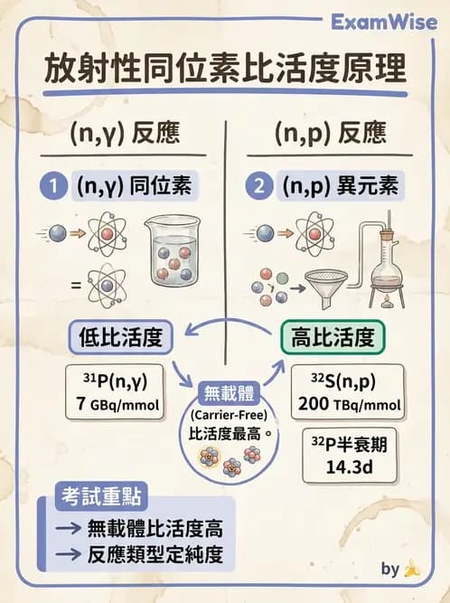 放射 - 核種生產與孳生器 - AI 圖文解析預覽