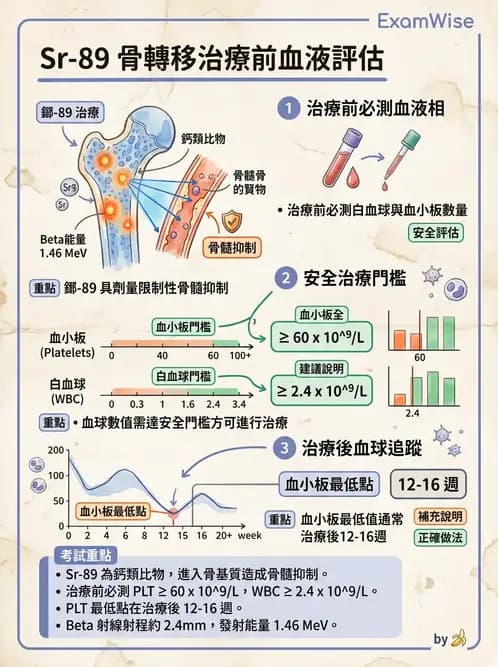 放射 - 腫瘤治療 - AI 圖文解析預覽