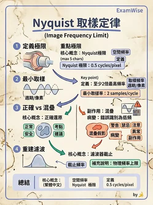 放射 - SPECT造影原理與重組 - AI 圖文解析預覽