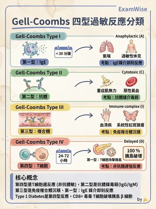 護理師 - 免疫疾病 - AI 圖文解析預覽