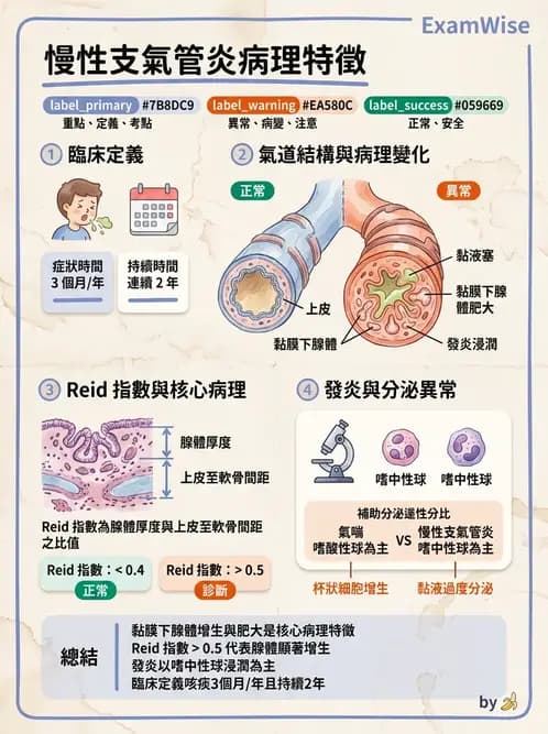 護理師 - 呼吸、循環系統 - AI 圖文解析預覽