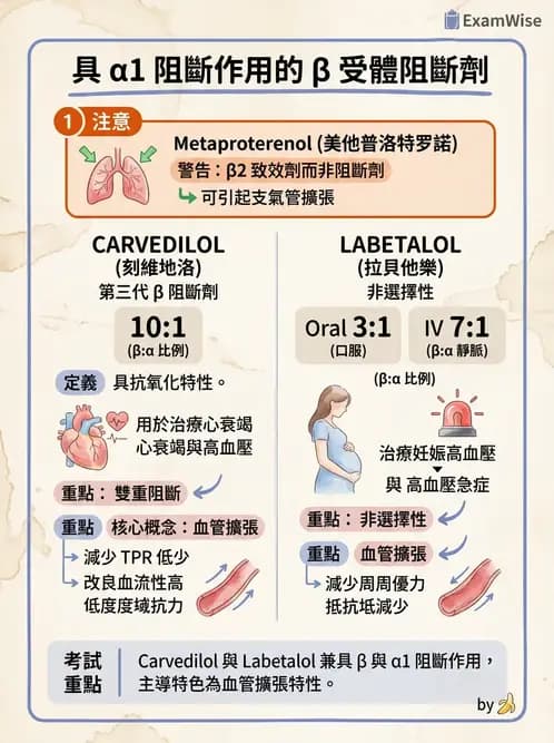 護理師 - 自主神經系統作用藥物 - AI 圖文解析預覽