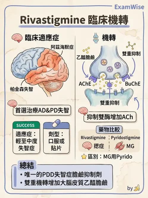 護理師 - 鎮痛、麻醉與神經科藥物 - AI 圖文解析預覽