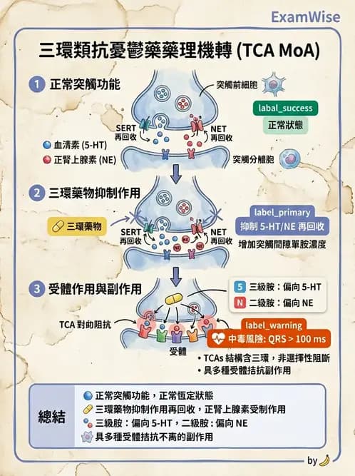 護理師 - 精神科藥物 - AI 圖文解析預覽